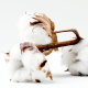 eco linen - www.mighty.com.au