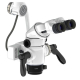 inline - www.mighty.com.au
