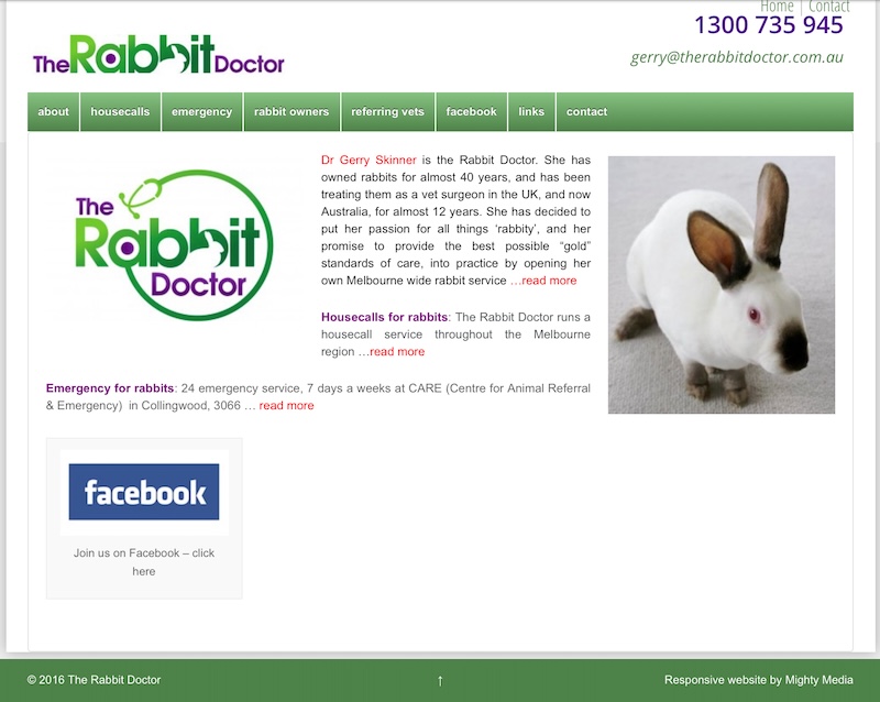 the rabbit doctor - www.mighty.com.au
