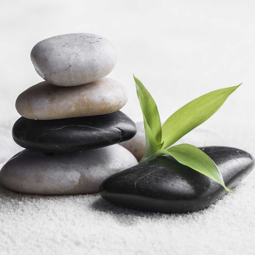 www.therapyworks 500